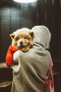 Dog Adoption