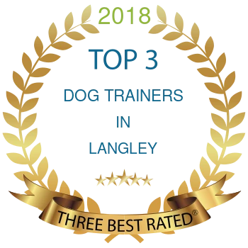 dog trainers langley