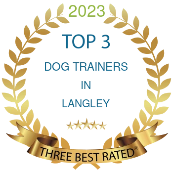 Franchise? 4 2023 Best Rated Dog Trainer In Langley Badge - Canine United
