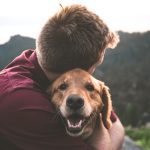 Canine United Mobile Dog Aggression &Amp; Reactivity Training