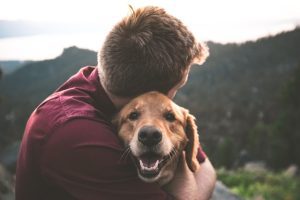 Canine United Mobile Dog Aggression &Amp; Reactivity Training