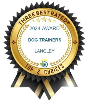 Dog training certificate